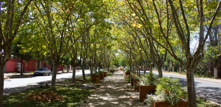 LOTEO DON SEBASTIAN II-B