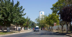 LOTEO DON SEBASTIAN II-B