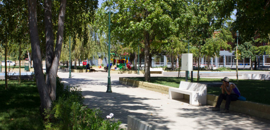 LOTEO DON SEBASTIAN II-B